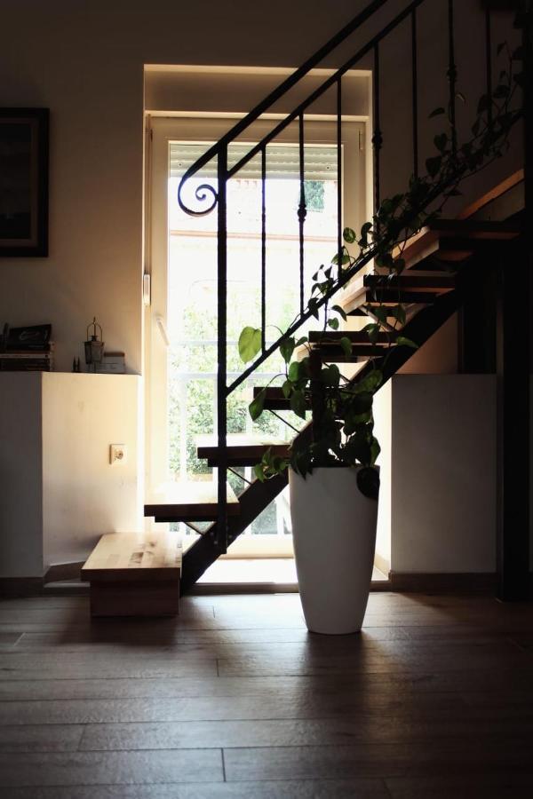 Andreja, Center Apartment