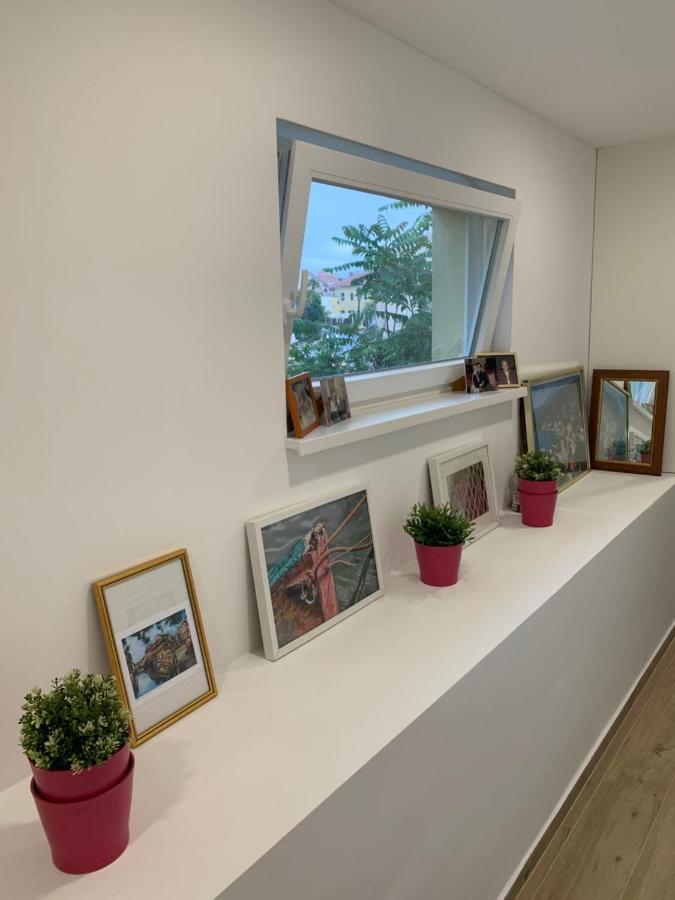 Andreja, Center Apartment